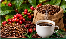 Ethiopian Coffee