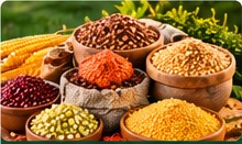 Grains & Pulses